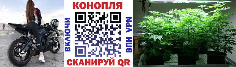 Как найти закладки Сосновоборск Конопля COCAIN ГАШИШ Alpha PVP Меф мяу мяу
