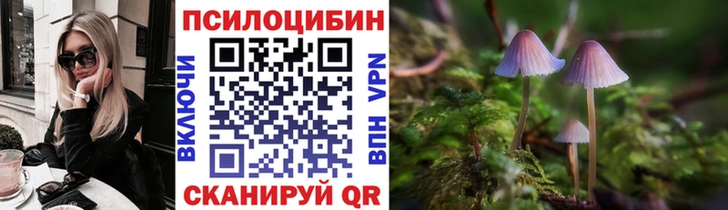 Псилоцибиновые грибы Cubensis закладки Сосновоборск
